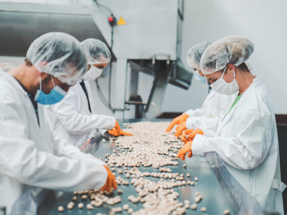 Operarios en fábrica seleccionando pistachos