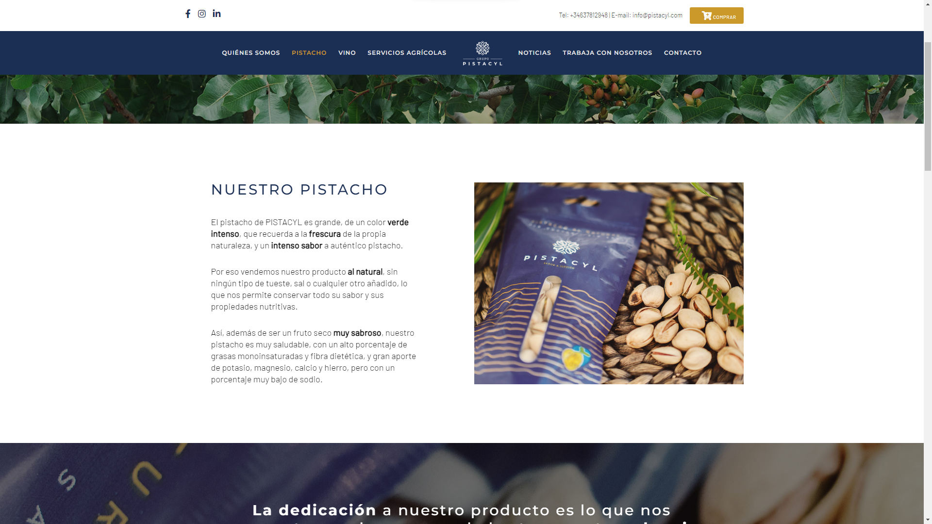 Captura de pantalla web Grupo Pistacyl