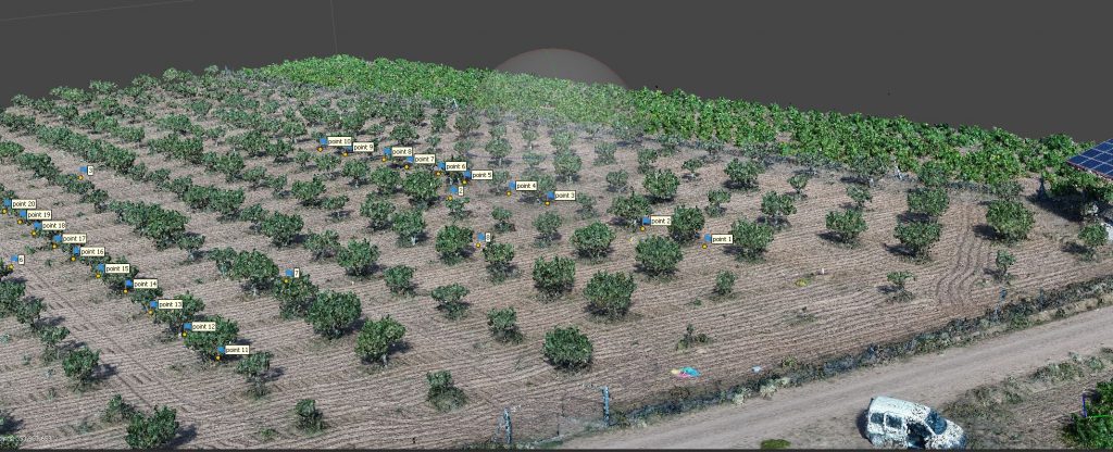 Imagen dron plantación pistachos